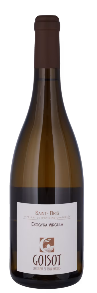 SAINT BRIS EXOGYRA VIRGULA BIO AOC Goisot