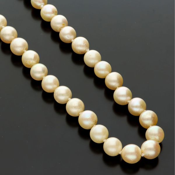 18ct Gold Diamond Clasped Pearl Necklace
