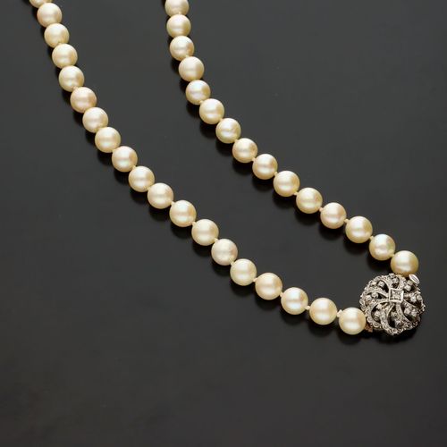 18ct Gold Diamond Clasped Pearl Necklace image-1
