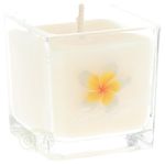Scented candle Rapeseed wax Eco 'Nag Champa' in glass | Edelstenen Webwinkel - Webshop Danielle Forrer