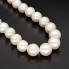 Freshwater Cultured Pearl Necklace