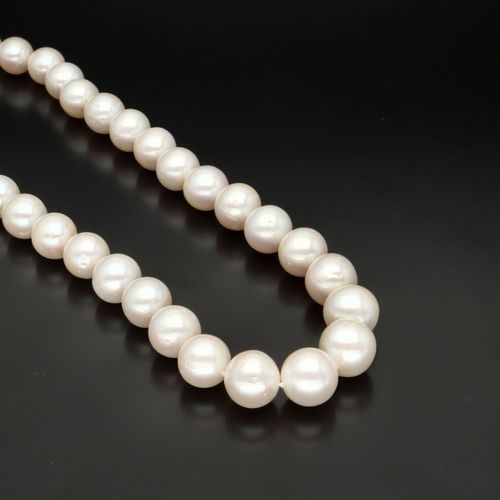 Freshwater Cultured Pearl Necklace image-1