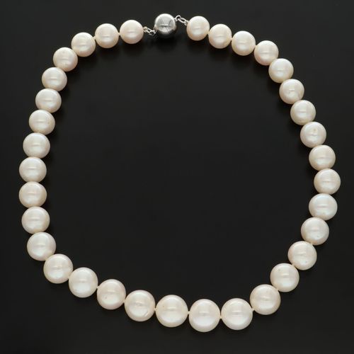Freshwater Cultured Pearl Necklace image-3