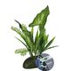 ProRep Philodendron Gigas Plant Moss Base 35cm - 360° presentation