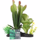 ProRep Euphorbia Plant On Log - 360° presentation