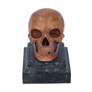 18th Century Carved Wooden Memento Mori Skull on a Marble Base