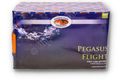 Pegasus Flight - 360° presentation
