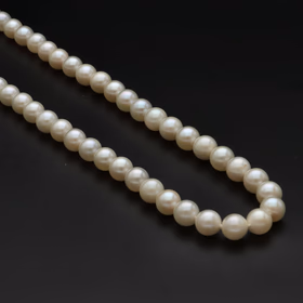 Re Strung Cultured Pearl Necklace