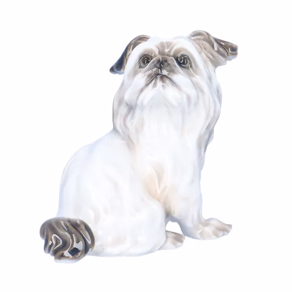 Dahl Jensen Belgian Griffon Dog