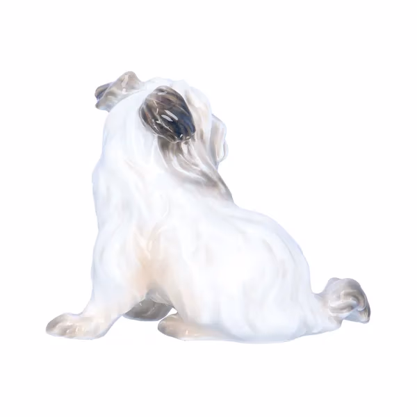 Dahl Jensen Belgian Griffon Dog