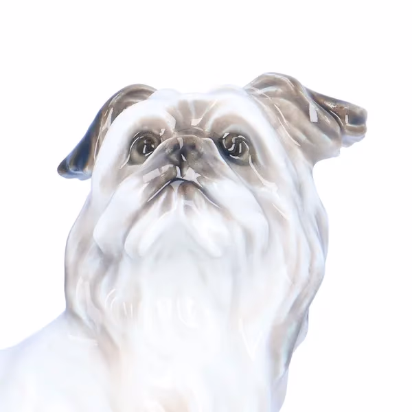 Dahl Jensen Belgian Griffon Dog
