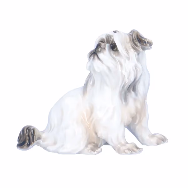 Dahl Jensen Belgian Griffon Dog