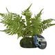 ProRep Tropical Fern Moss Base 25cm - 360° presentation