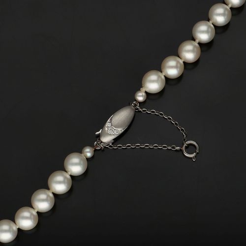 Fine Mikimoto Pearl Necklace with Diamond Clasp image-5