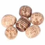 Aragonit-Edelsteine: Wirkung und Bedeutung | Edelstein-Webshop – Danielle Forrer Webshop