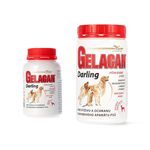 gelacan darling - 2D image