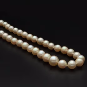 Graduated Fresh Pearl Necklace