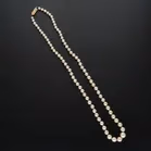 Graduated Fresh Pearl Necklace