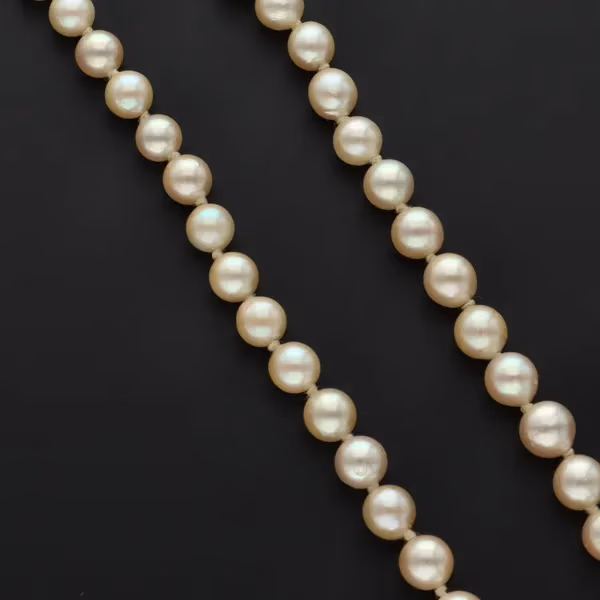 Graduated Fresh Pearl Necklace