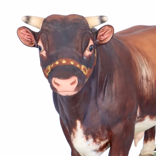 Royal Worcester "Brahman Bull" by Doris Lindner with COA