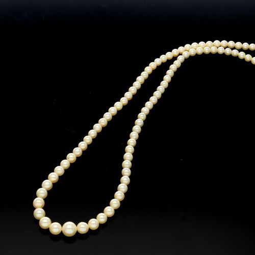 Mikimoto Cultured Pearls Necklace image-3