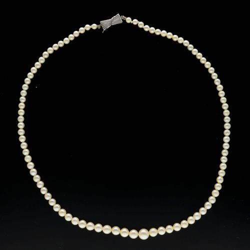 Mikimoto Cultured Pearls Necklace image-2
