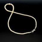 Mikimoto Cultured Pearls Necklace
