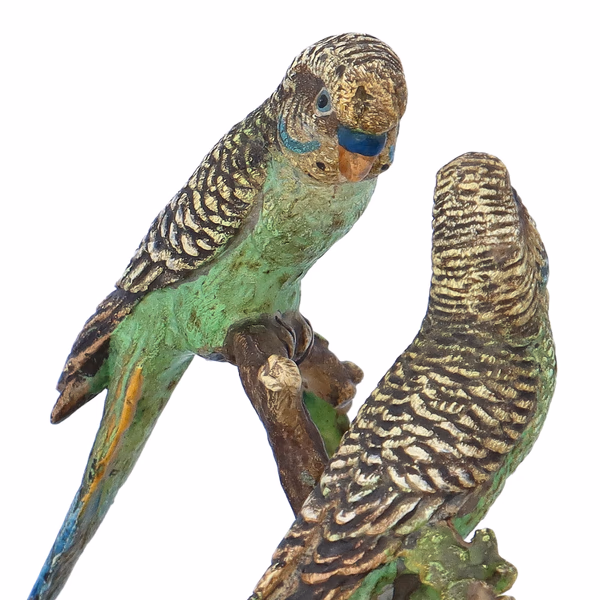 Parakeet Onyx Dish