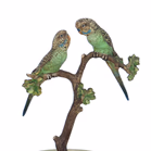 Parakeet Onyx Dish