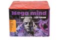 Mega Mind - 360° presentation