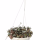 ProRep String of Hearts (Large Hanging) - 360° presentation
