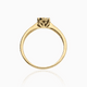 ring gg england - 2D image