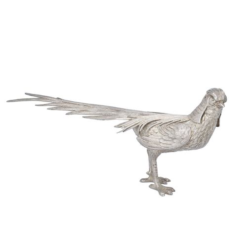 Silver Golden Pheasant image-1