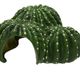 ProRep Cactus Hide 22.5x22x10cm - 360° presentation