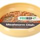MealWorm Dish Sandstone Large - 360° presentation