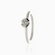 efva vg ring - 2D image