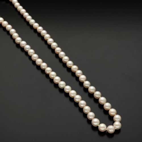9ct Gold Clasp Cultured Pearl Necklace image-2