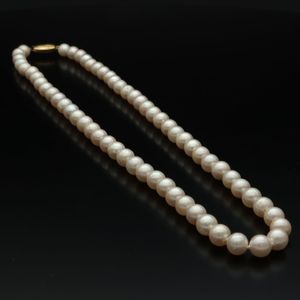 9ct Gold Clasp Cultured Pearl Necklace
