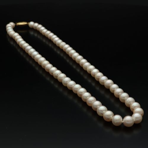 9ct Gold Clasp Cultured Pearl Necklace image-1
