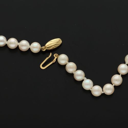 9ct Gold Clasp Cultured Pearl Necklace image-5