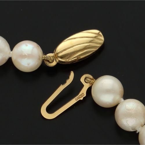9ct Gold Clasp Cultured Pearl Necklace image-6