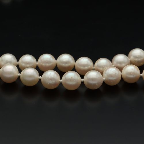 9ct Gold Clasp Cultured Pearl Necklace image-4