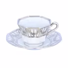 Friedrich Deusch Tirschenreuth Porcelain Cup and Saucer