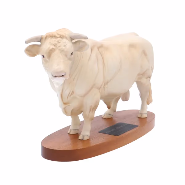 Beswick Charolais Bull