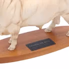 Beswick Charolais Bull
