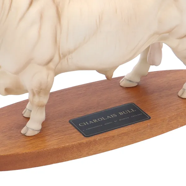 Beswick Charolais Bull