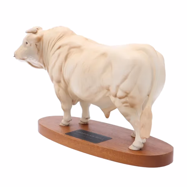 Beswick Charolais Bull