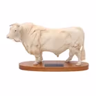 Beswick Charolais Bull