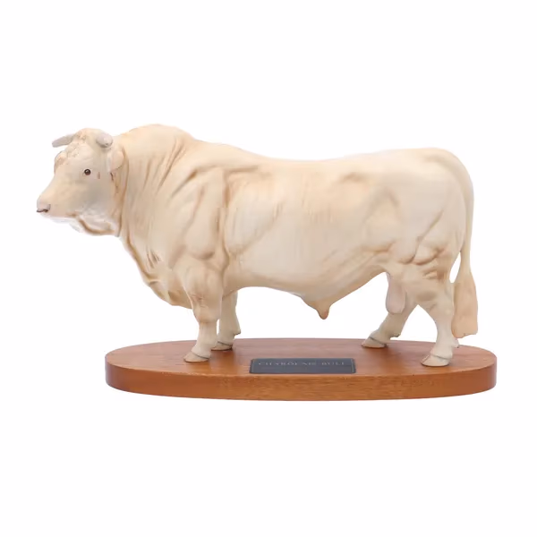 Beswick Charolais Bull