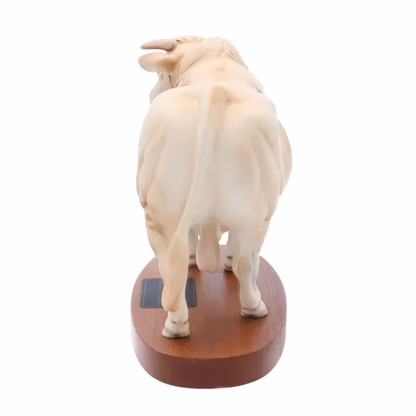 Beswick Charolais Bull